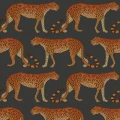 Leopard Walk oranssi musta elaintapetti Cole et Sonilta 109 2008