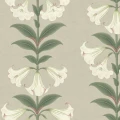 Angels Trumpet beige kukkatapetti Cole et Sonilta 117 3007