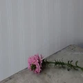 Harmaa raitatapetti Johann Sebastian 64282 Pihlgren ja Ritolalta