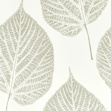 Leaf valkoinen hopea lehtitapetti Harlequinilta 112609 kuva