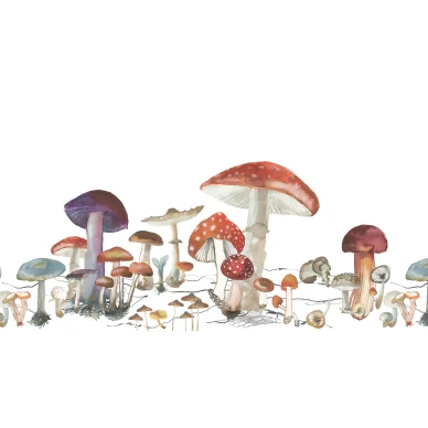 Woods of Wonder leikkimielinen sienitapetti koko kuvio Rebel Wallsilta R14481 kuva