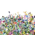 May Meadow varikas kukkaniittytapetti koko kuvio Rebel Wallsilta R14531