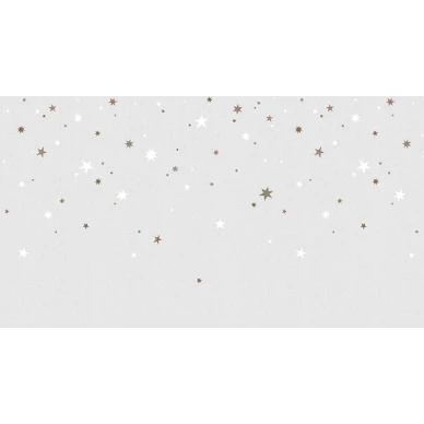 Stargazing vaalea tahtitapetti Rebel Wallsilta koko kuvio R14572 kuva