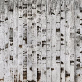 Metal Birch metallinen puutapetti Rebel Wallsilta R15221 image