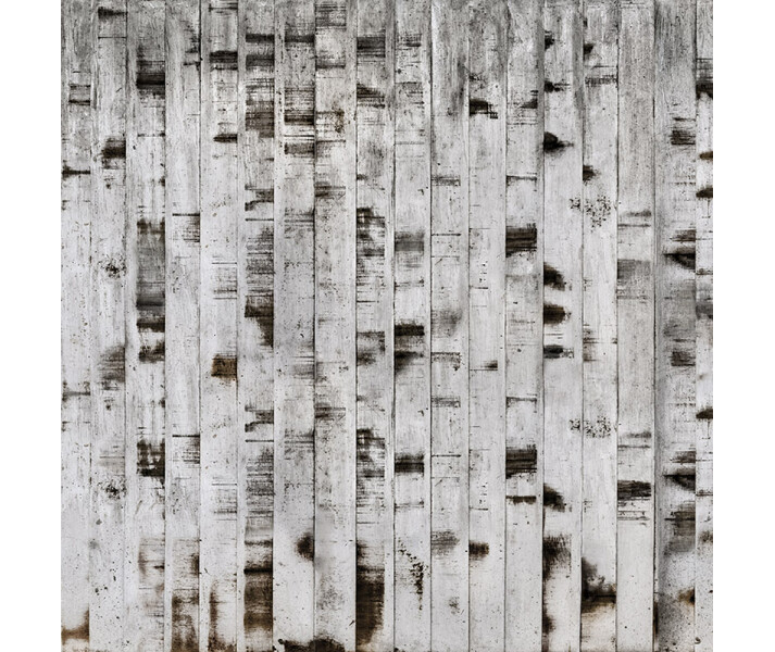 Metal Birch metallinen puutapetti Rebel Wallsilta R15221 kuva