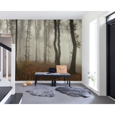 Timberland syksyinen metsatapetti eteiseen Rebel Wallsilta R15281 image