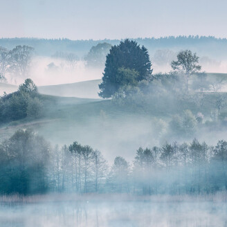 Morning Haze aamuinen maisematapetti Rebel Wallsilta R15291 image