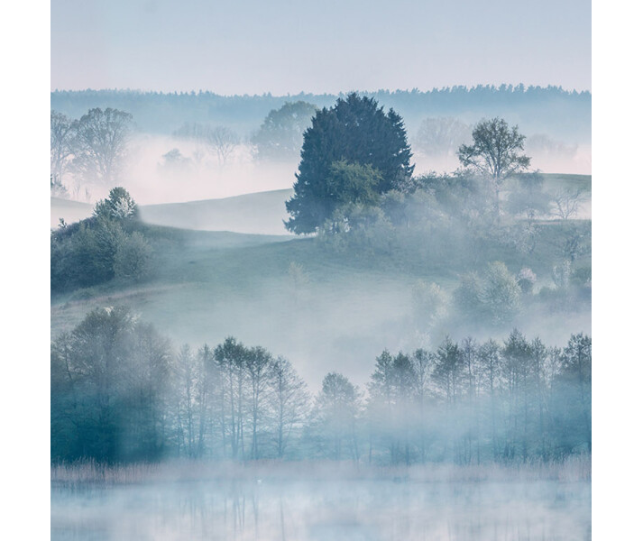 Morning Haze aamuinen maisematapetti Rebel Wallsilta R15291 image