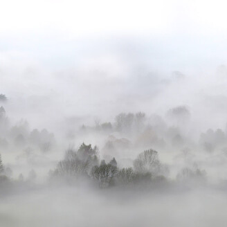 Morning Fog harmaa aamuinen maisematapetti Rebel Wallsilta R15301 kuva
