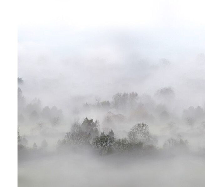 Morning Fog harmaa aamuinen maisematapetti Rebel Wallsilta R15301 kuva