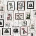 Cactus Wall Art kaktustapetti Rebel Wallsilta R15322