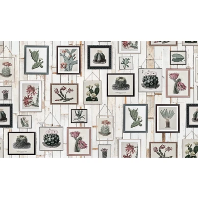 Cactus Wall Art kaktustapetti levea kuvio Rebel Wallsilta R15322 kuva