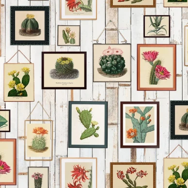 Cactus Wall Art varikas kaktustapetti Rebel Wallsilta R15321 kuva