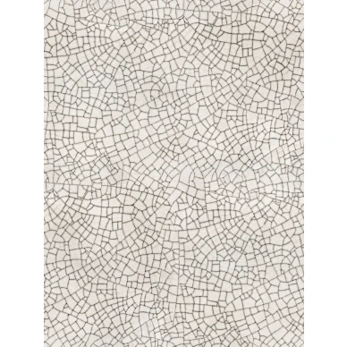 Raku Crackle vaalea graafinen tapetti Rebel Wallsilta laaja kuvio R14671 image