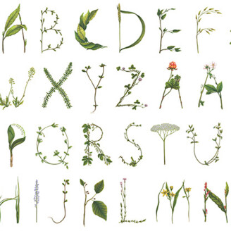 Floral Alphabet vihreavalkoinen kirjaintapetti Rebel Wallsilta R13195 kuva