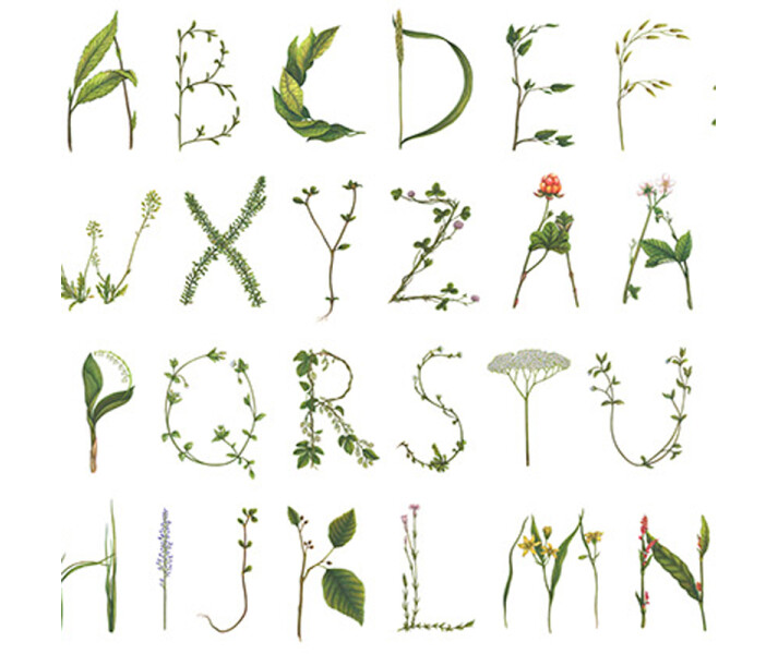 Floral Alphabet vihreavalkoinen kirjaintapetti Rebel Wallsilta R13195 kuva