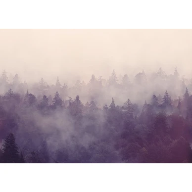 Fir Forest liila metsatapetti valokuvatapetti koko kuvio Rebel Wallsilta R16001 image