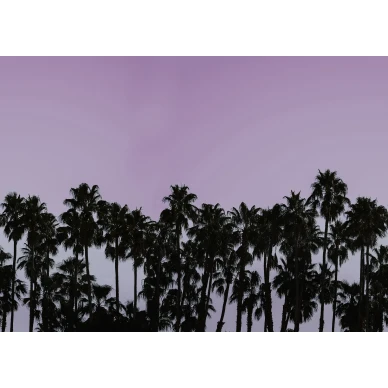 Riviera Daydream liila musta palmutapetti koko kuvio Rebel Wallsilta R16052 kuva