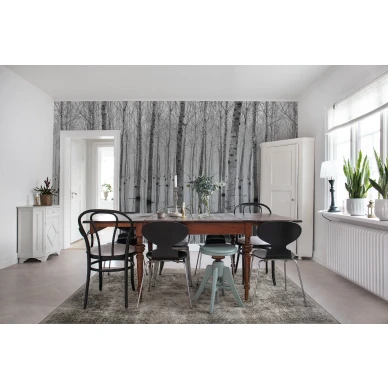 Birch Echo harmaa puutapetti ruokailuhuoneeseen Rebel Wallsilta R16061 image