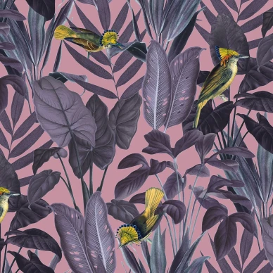 Yellow Bird liila lintutapetti Rebel Wallsilta R15732 kuva