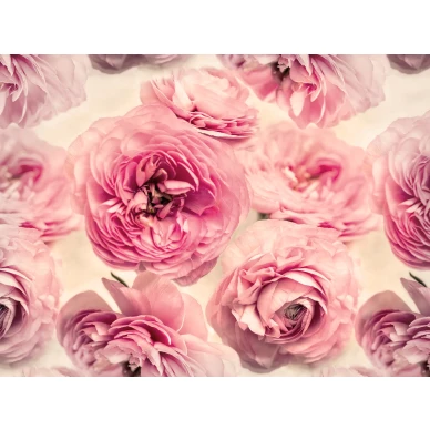 Summer Wind mahtava suurikuvioinen roosa kukkatapetti koko kuvio Rebel Wallsilta R13091 kuva