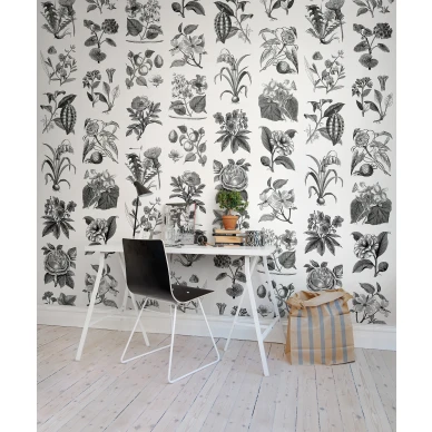 Fruit and Flora mustavalkoinen kukkatapetti tyohuoneeseen Rebel Wallsilta R13171 kuva
