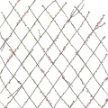 Winding Spring ruudullinen kukkatapetti Rebel Wallsilta R13221