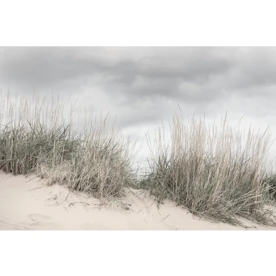 Pale Shore pilvinen hiekkavalokuvatapetti koko kuvio Rebel Wallsilta R16341 kuva