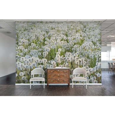 Dandelions voikukka valokuvatapetti eteiseen Rebel Wallsilta R16351 kuva