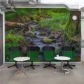Stream metsavirta valokuvatapetti odotushuoneeseen Rebel Wallsilta R16381