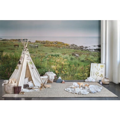 Bareback hevostapetti valokuvatapetti lastenhuoneeseen Rebel Wallsilta R16471 kuva