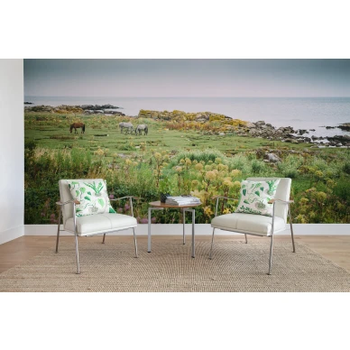 Bareback hevostapetti valokuvatapetti olohuoneeseen Rebel Wallsilta R16471 kuva