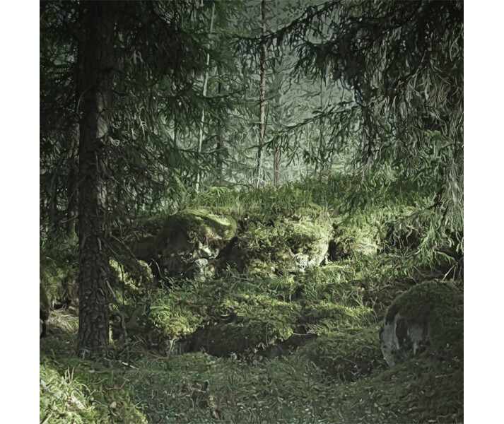 Virgin Forest maaginen metsatapetti valokuvatapetti Rebel Wallsilta R16531 image