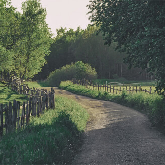 Wooden Fence vihrea maaseutumaisema valokuvatapetti Rebel Wallsilta R16541 kuva