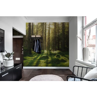 Forest Bath vihrea metsatapetti valokuvatapetti eteiseen Rebel Wallsilta R16641 image