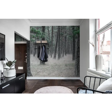 Pine Forest metsatapetti valokuvatapetti eteiseen Rebel Wallsilta R13711 image