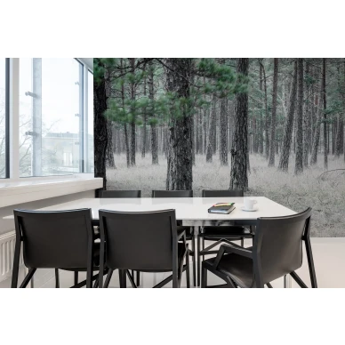 Pine Forest metsatapetti valokuvatapetti kokoushuoneeseen Rebel Wallsilta R13711 image