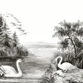 Swan Lake harmaa lintutapetti koko kuvio Rebel Wallsilta R16221
