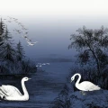 Swan Lake sininen lintutapetti Rebel Wallsilta koko kuvio R16222
