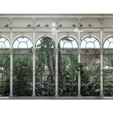 Dove Gardens vihrea puutarhatapetti levea kuvio Rebel Wallsilta R16261 image