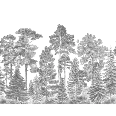 Scandinavian Bellewood harmaa metsatapetti koko kuvio Rebel Wallsilta R17201 kuva