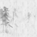 Asian Pines harmaa puutapetti levea kuvio Rebel Wallsilta R16761