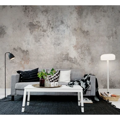 Patina harmaa vintagetyylinen olohuoneen muraltapetti Rebel Wallsilta R12711 image