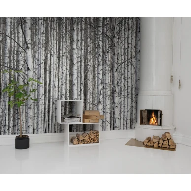 Birch Trunks mustavalkoinen metsatapetti Rebel Wallsilta R13031 image