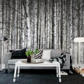 Birch Trunks mustavalkoinen puutapetti olohuoneen muraltapetti Rebel Wallsilta R13031