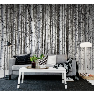 Birch Trunks mustavalkoinen puutapetti olohuoneen muraltapetti Rebel Wallsilta R13031 image