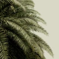 Leaf Love vihrea palmutapetti Rebel Wallsilta R14001