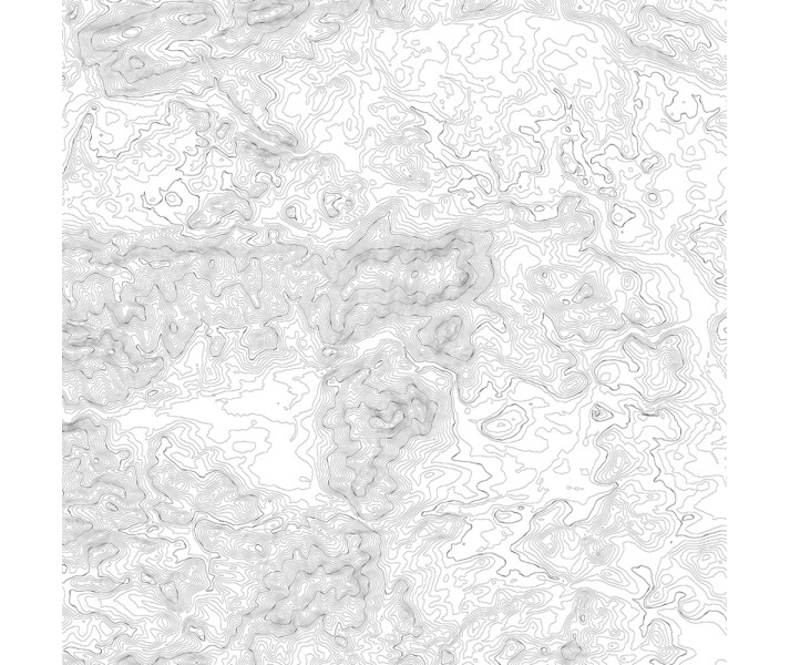 Elevation Lines valkoinen harmaa graafinen muraltapetti Rebel Wallsilta R14071 image