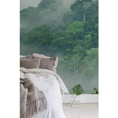 Misty Forest rentouttava vihrea metsatapetti Rebel Wallsilta R15062 kuva