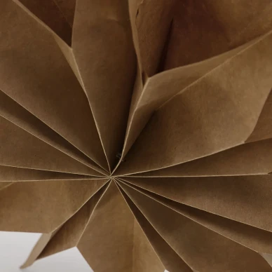 Star Capella ruskea joulutahti House Doctorilta 206120800 kuva